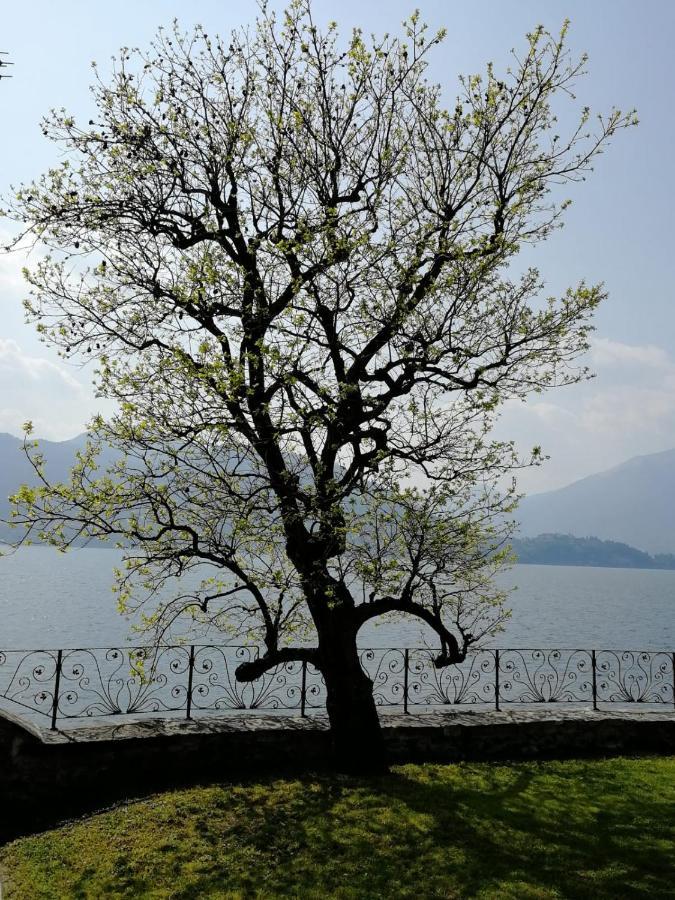 L'Antico Borgo, Un Mix Di Storia E Romanticismo Villa Лиерна Екстериор снимка